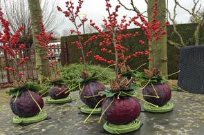 Tuintips voor december