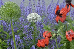 tuintips voor juni