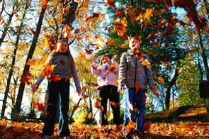 Tuintips voor oktober