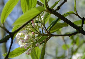 LENTE geurt je tegemoet