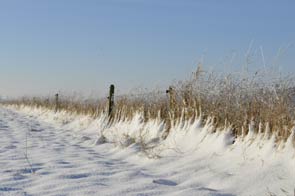 Wintertuin