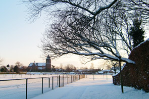 Nieuwjaarsgroet 2017