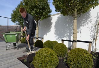 Wij zoeken ALLROUND HOVENIERS EN LEERLINGHOVENIERS