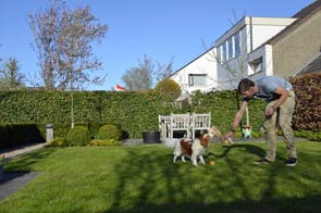 Tuinonderhoud in uw vakantie